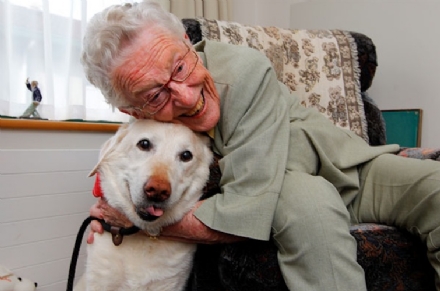 pet rehabilitates