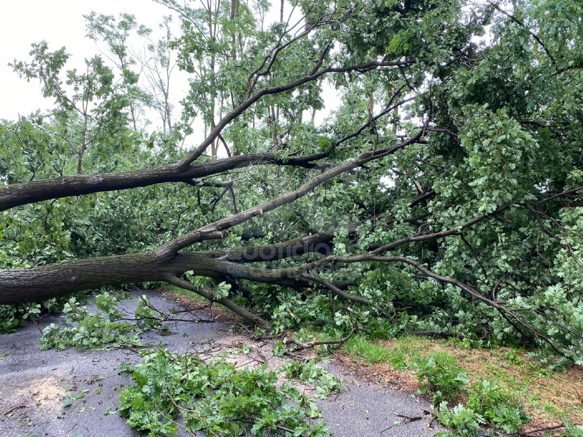 FAVRIA - Nubifragio, tre famiglie evacuate. Duemila metri quadri di serre completamente distrutte - FOTO
