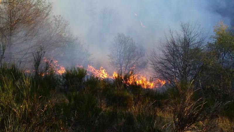 ALLARME INCENDI - Bruciano i boschi di mezzo Canavese - FOTO